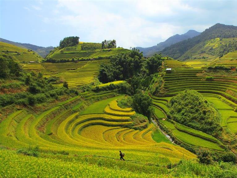 10 Best Things To do In Vietnam For First - Time Visitors