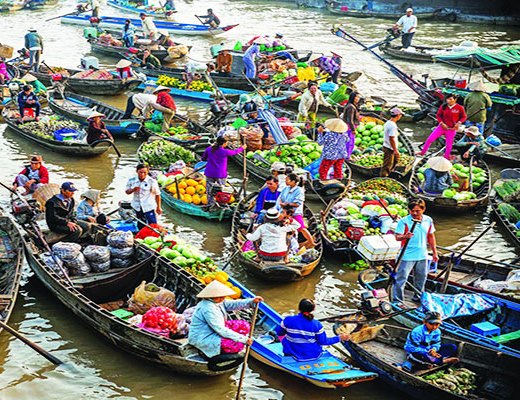 Mekong Delta and Cai Rang Floating Market Half-Day Tour