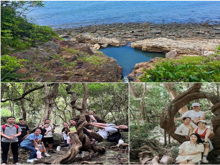 TOUR CÔN ĐẢO - HIKING BÃI BÀNG - ĐẤT THẮM