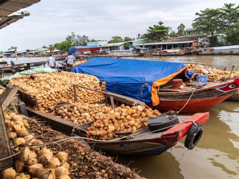 MOCAY MARKET- COCONUT MARKET- SUNSET