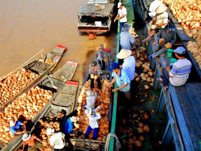 TOUR CỒN HÔ 1 NGÀY VÀ THAM QUAN CHỢ DỪA NỔI