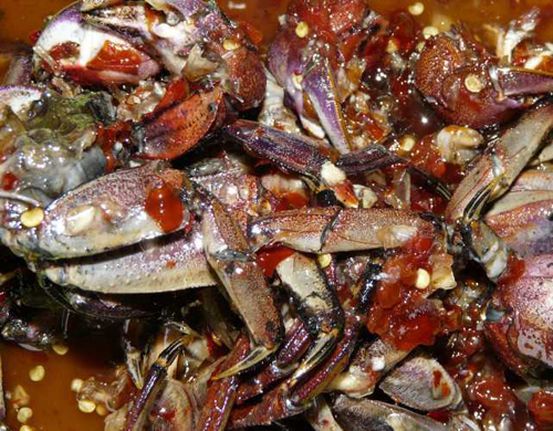 Du lịch Ẩm thực Đặc sản miền T&acirc;y Bạc Li&ecirc;u - C&agrave; Mau | li&ecirc;n hệ Quảng c&aacute;o 0915326788