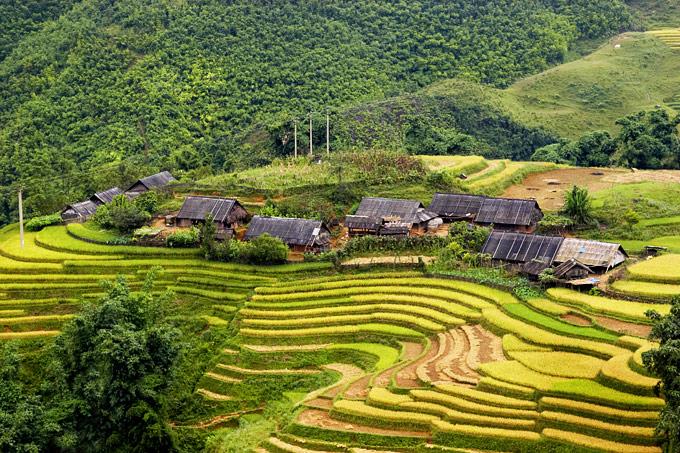 Viet Nam Tourism Cantho Mekong Tour Sapa An Nam Travel Lao Cai